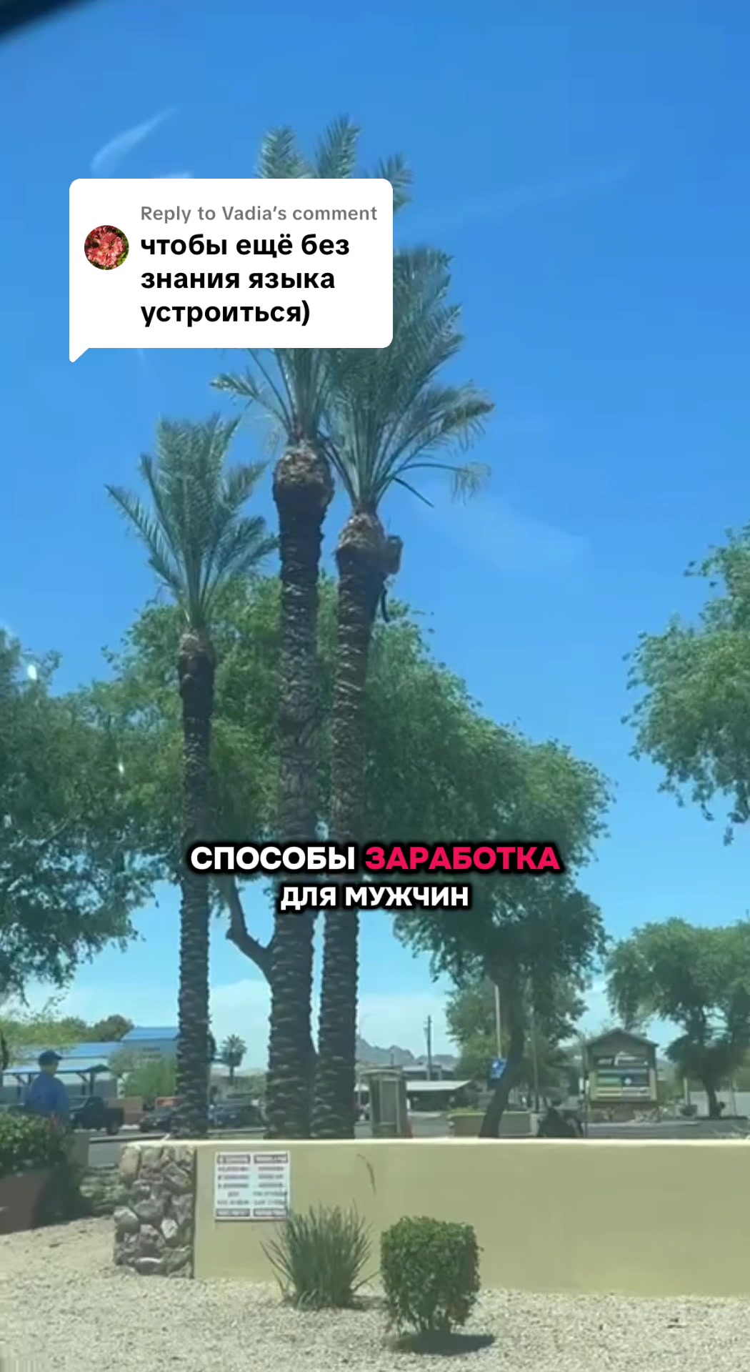 @hellotatsi