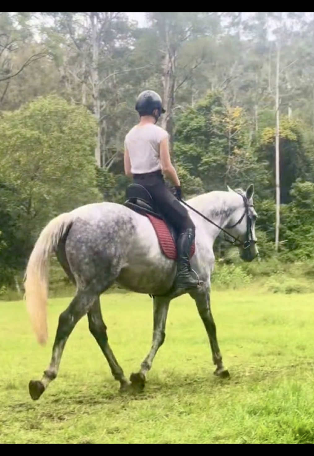 @Double F Performance Horses