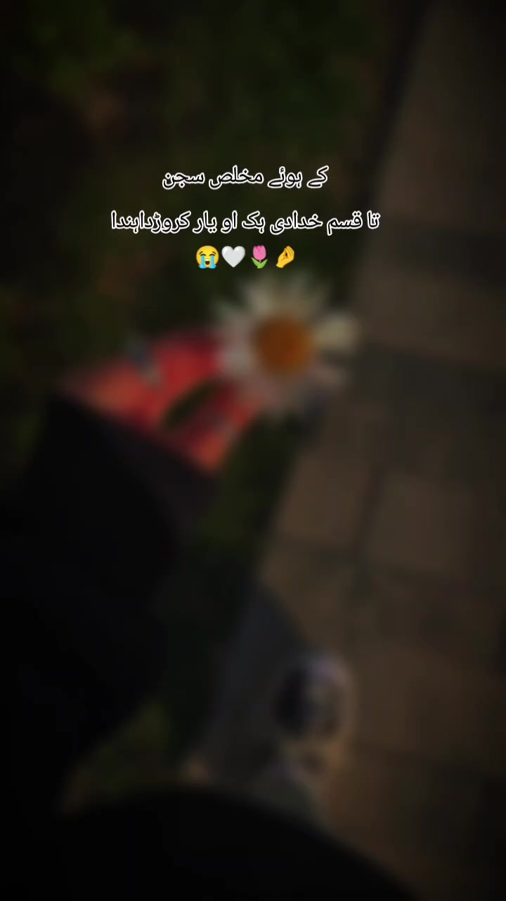 @sukoon - e- Qalb ๐๐ฅฐ๐ซ