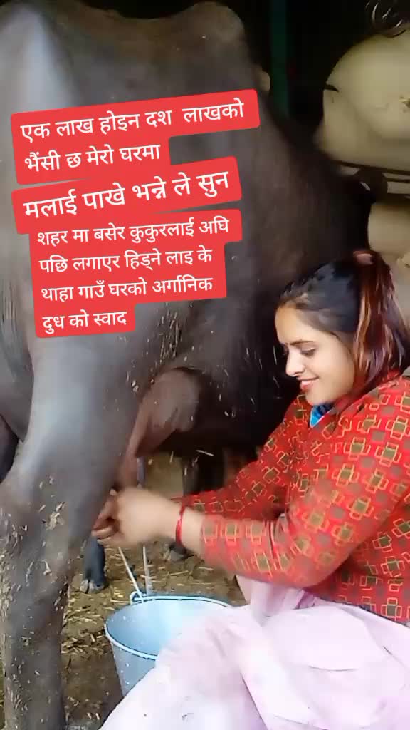@Binda Dhungana💗🌷