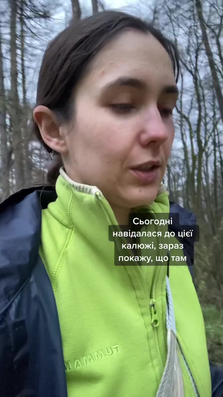 @Птахи, бьордвочинг, орнітолог