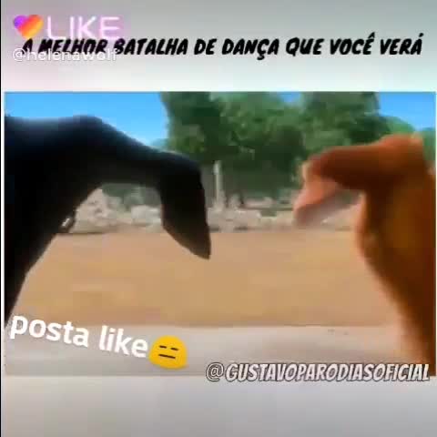 @amo todos hevilyn ne