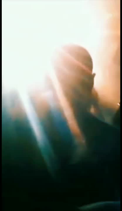 @@TropicalHouse1679