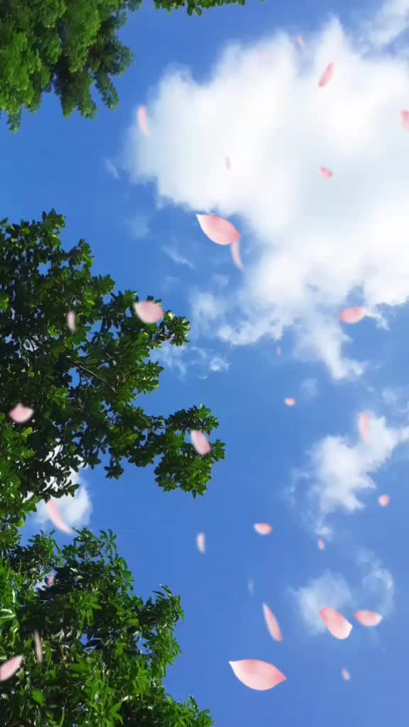 @angela salma ๐ค๐๐๐งก๐๐โค๐๐ค