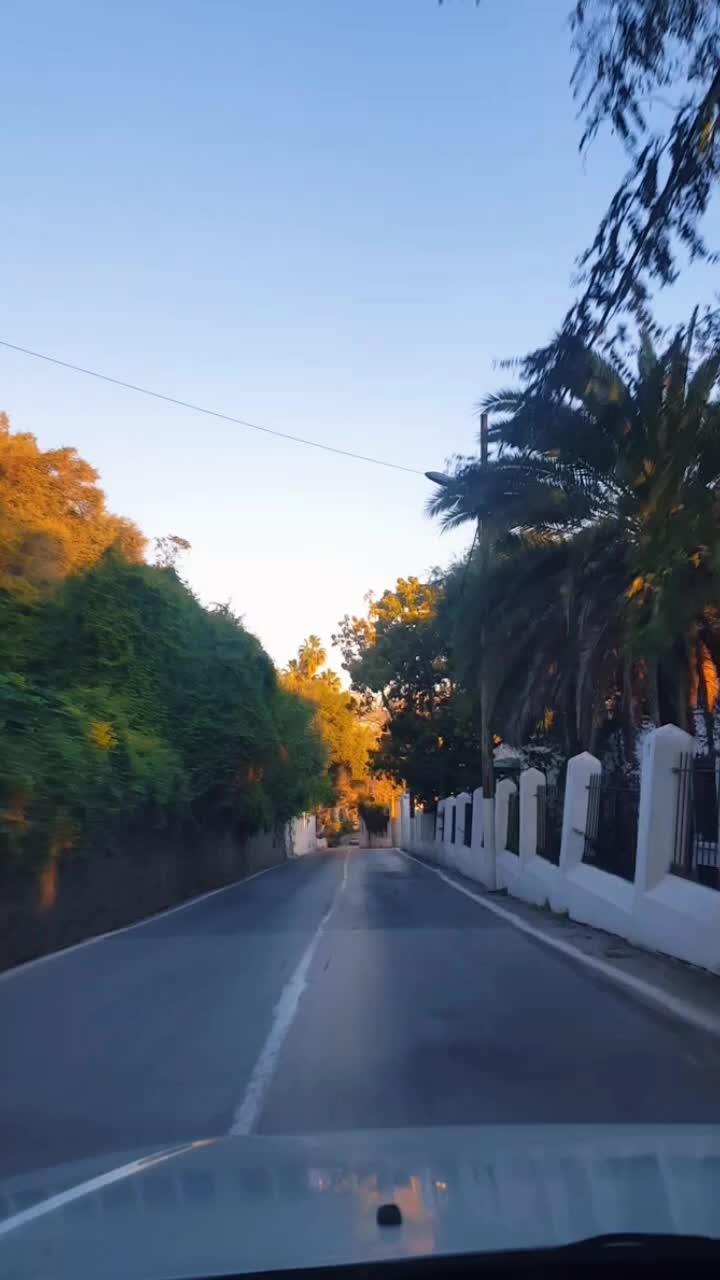 @go&eacute;land.dz