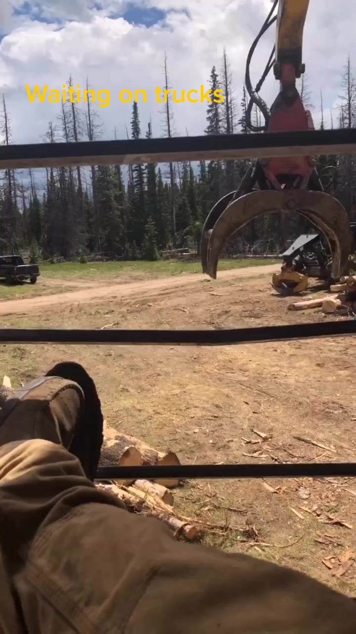 @LoggerBoy545