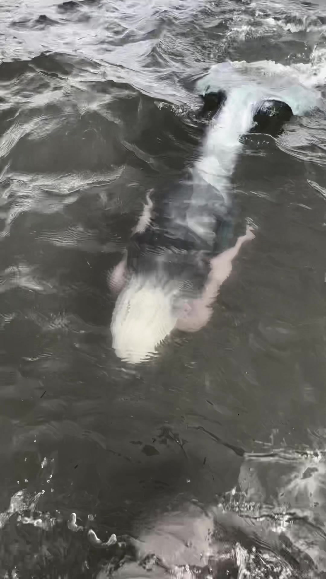@MischieftheMermaid