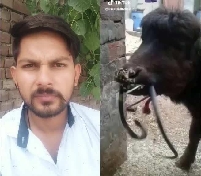 @rajveer singh