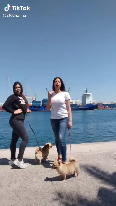 @amona3702