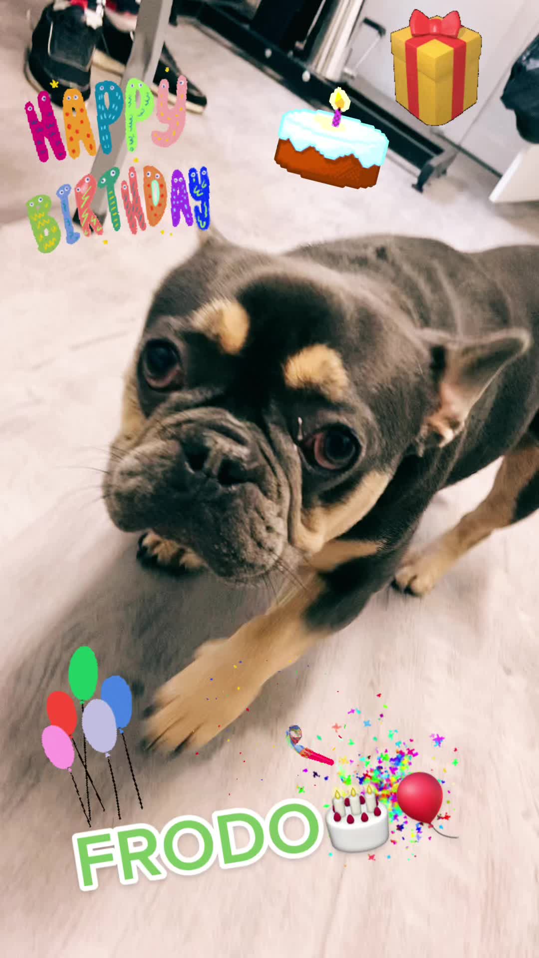 @Bentleys Boutique Pet Groomers