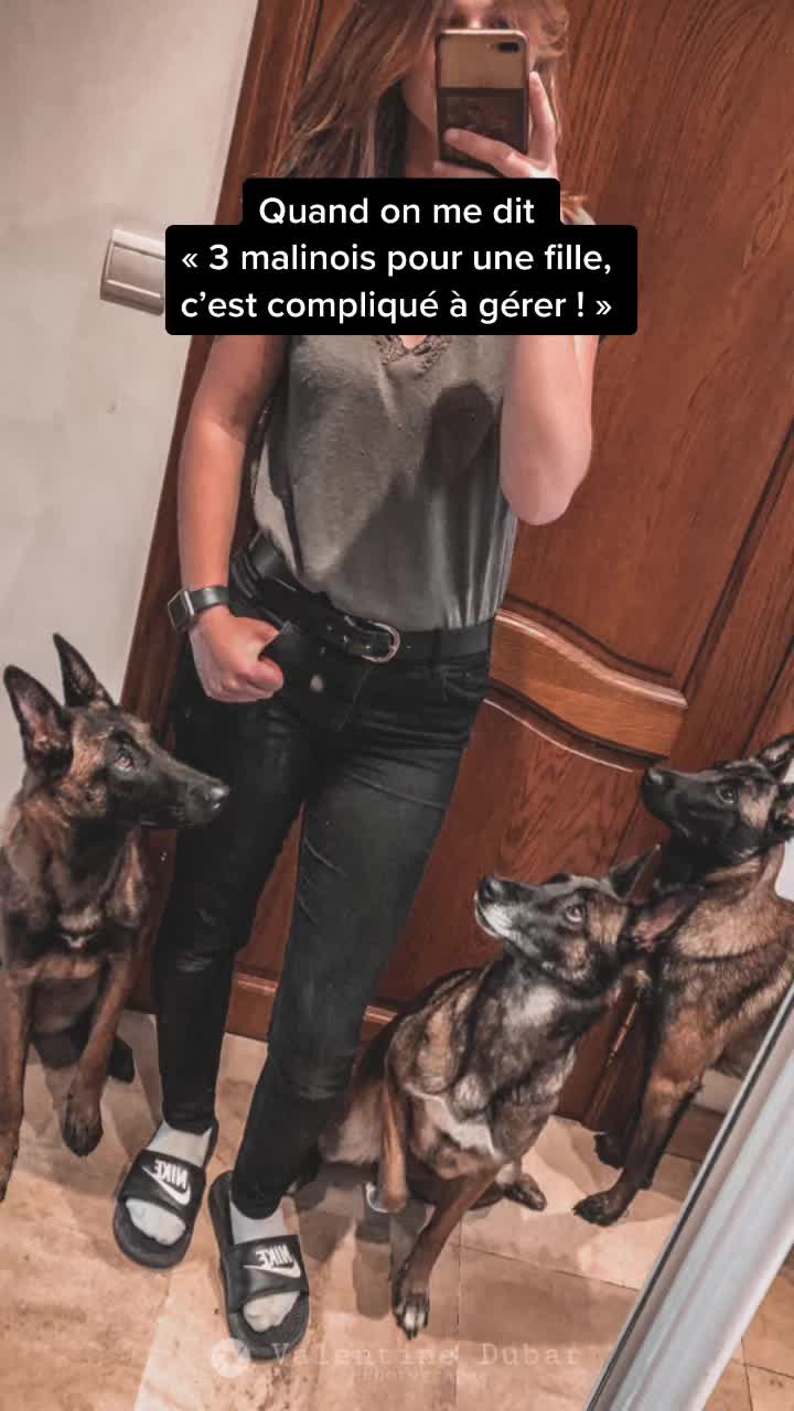 @Otha Malinois