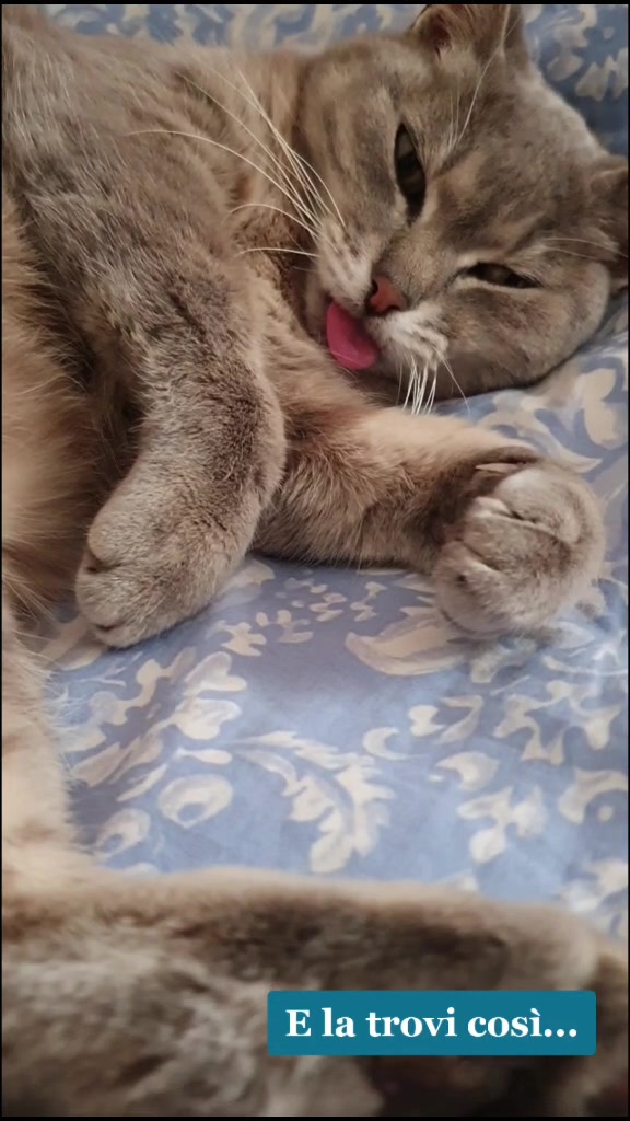 @Sofia Lissandron