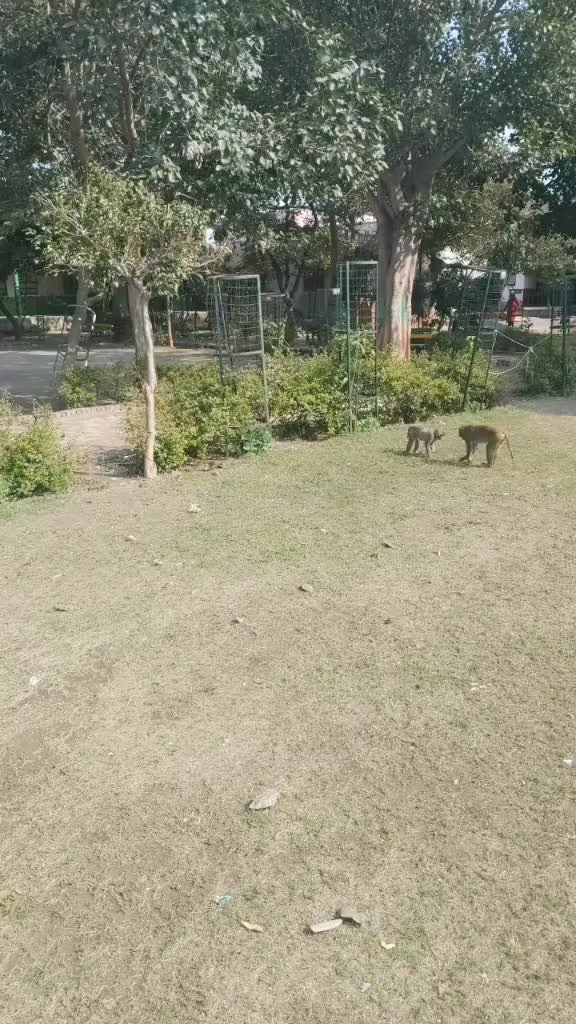 @Deepti Yadav