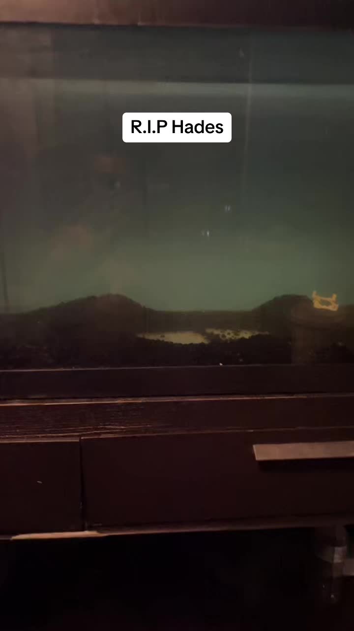 @Guillermo 4