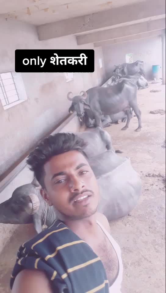 @Tushar more