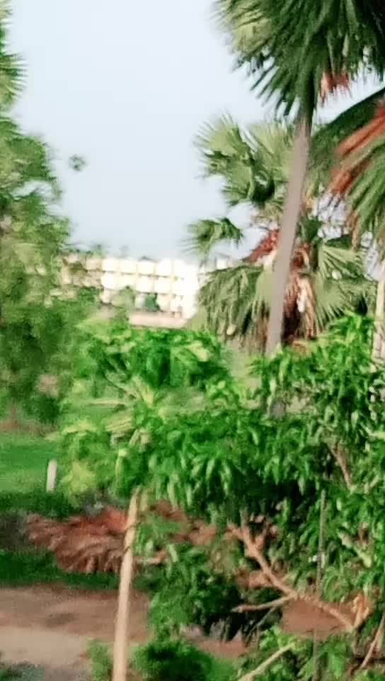 @Aryan yadav