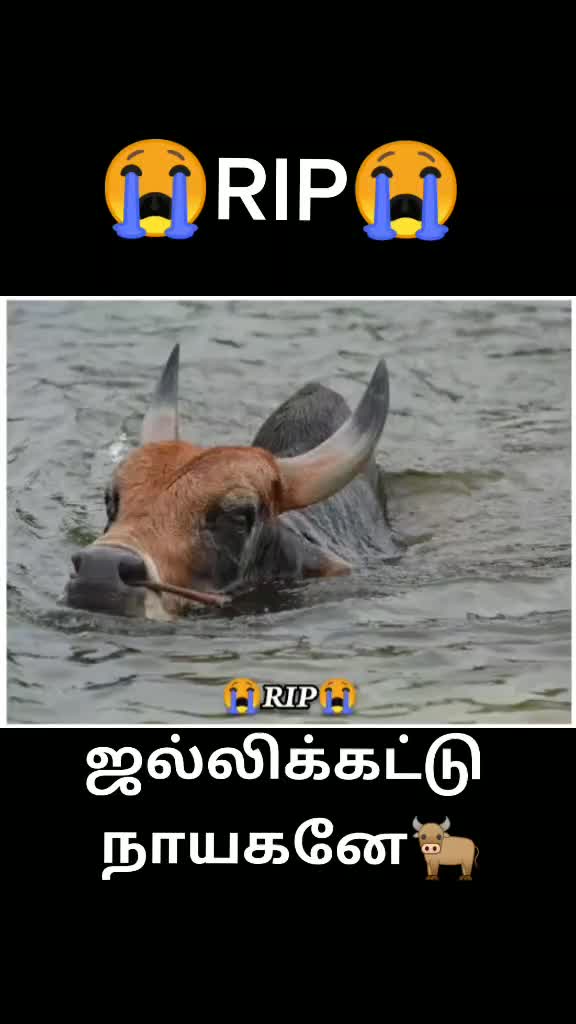 @@&reg;@&radic;|ND