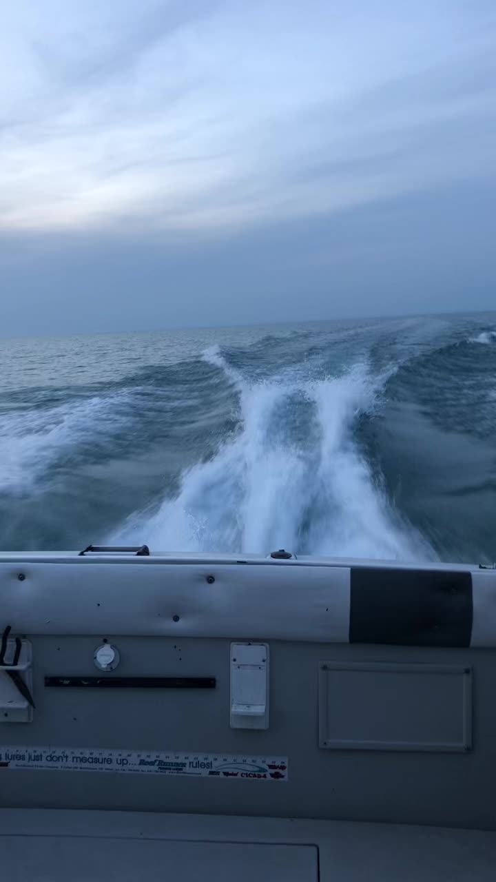 @sportytoofishingcharters