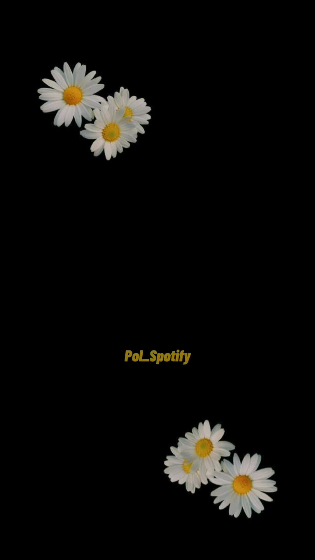 @Pol_Spotifi