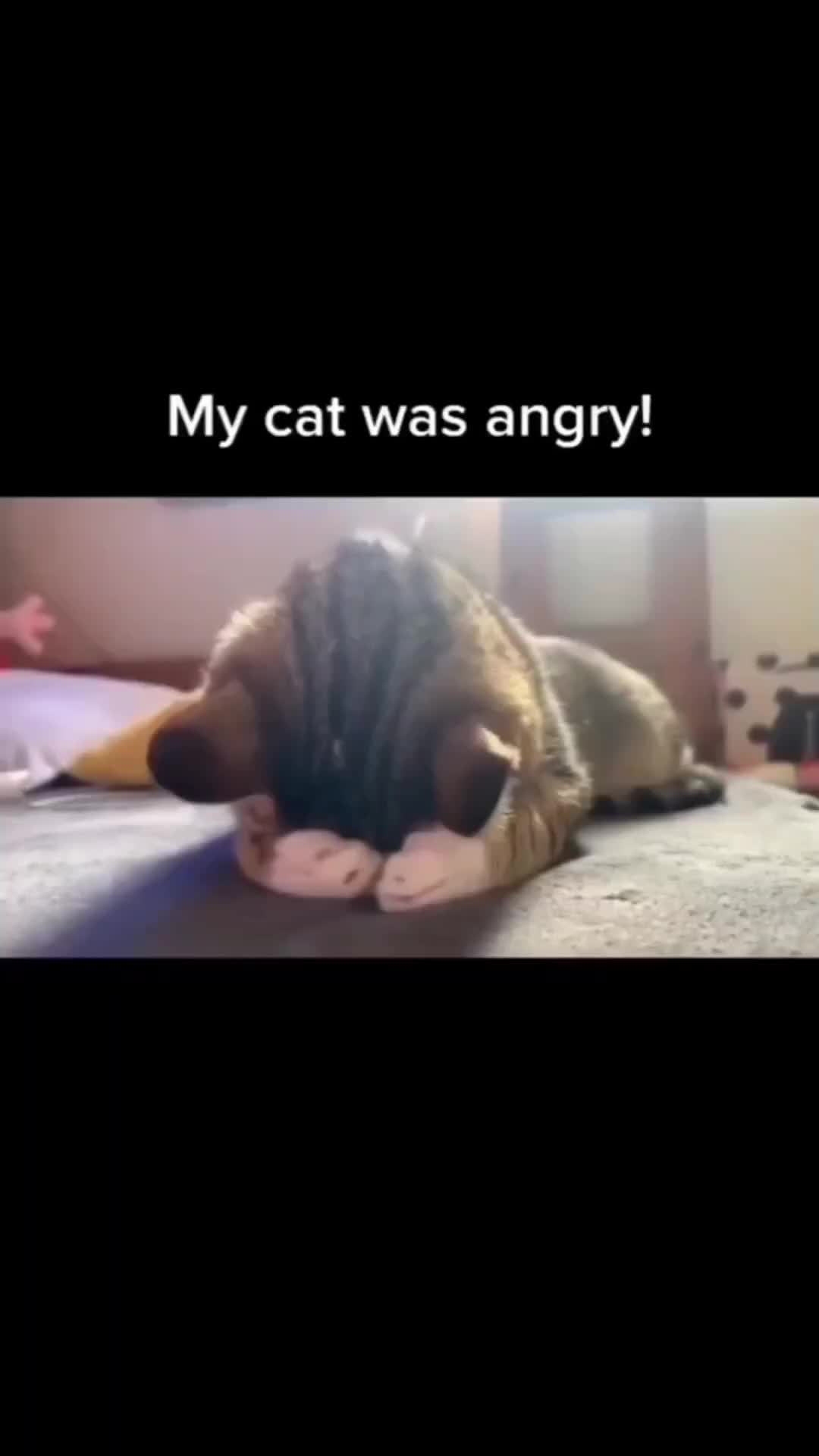@viral2dayy