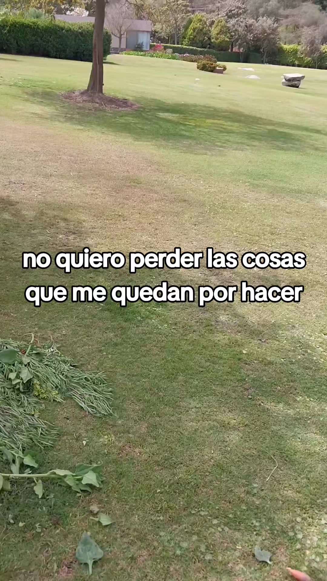 @Paula Esther