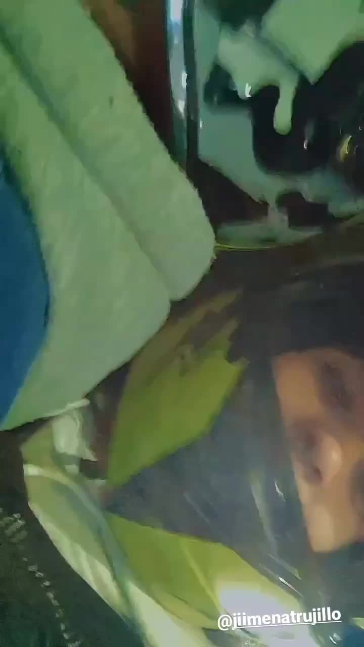 @Jimena Trujillo.