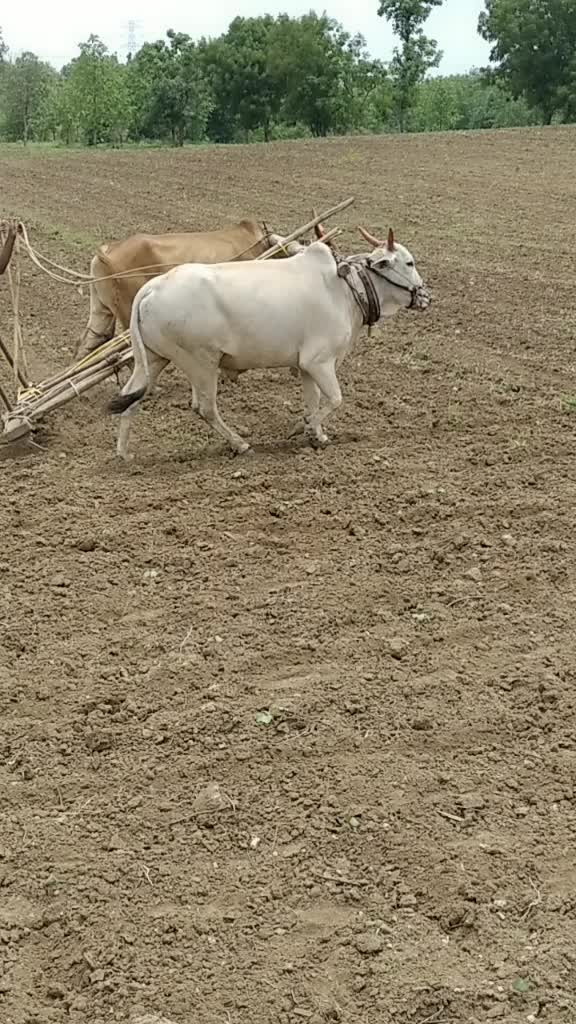 @Vaibhav Vhagade