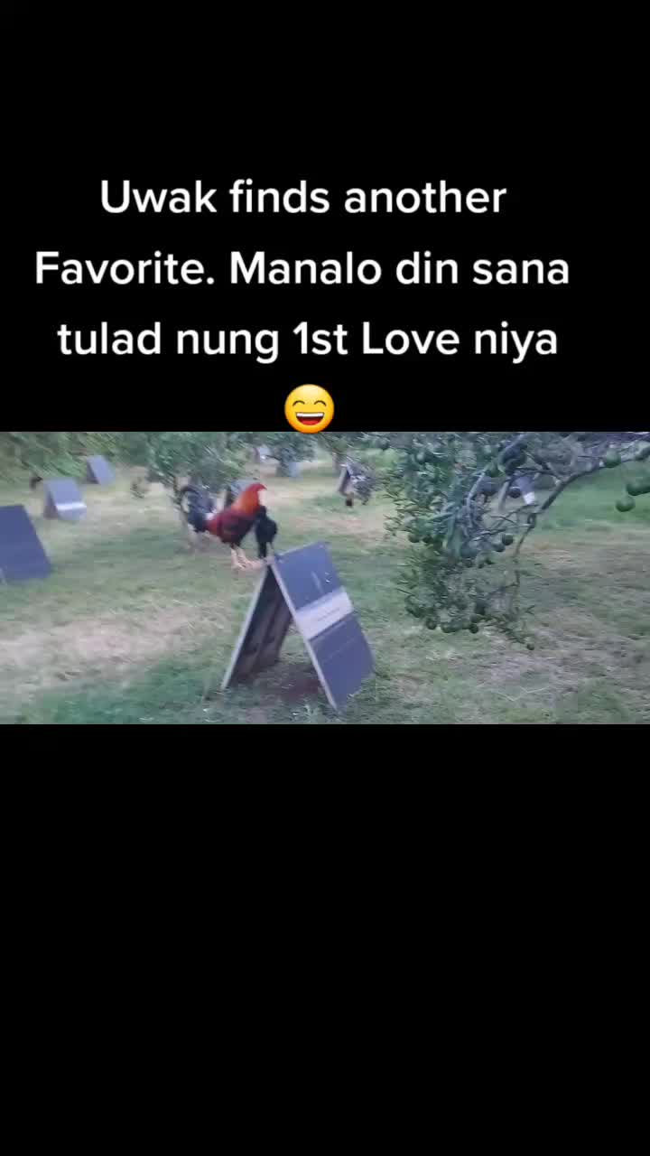 @Dr. Eugene