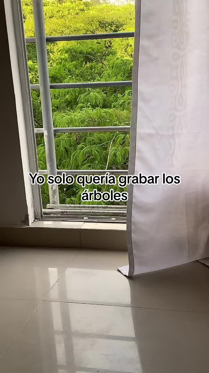 @Catalina Celis