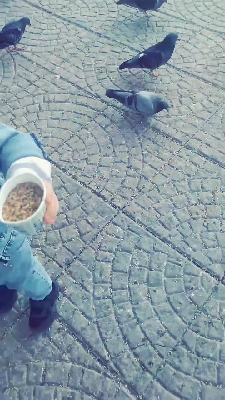 @★彡 مهره 彡★