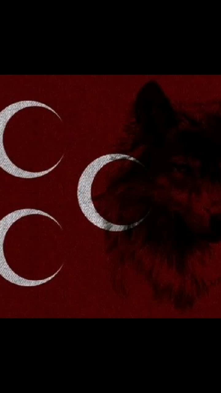 @cCc🇹🇷BOZKURT🇹🇷cCc