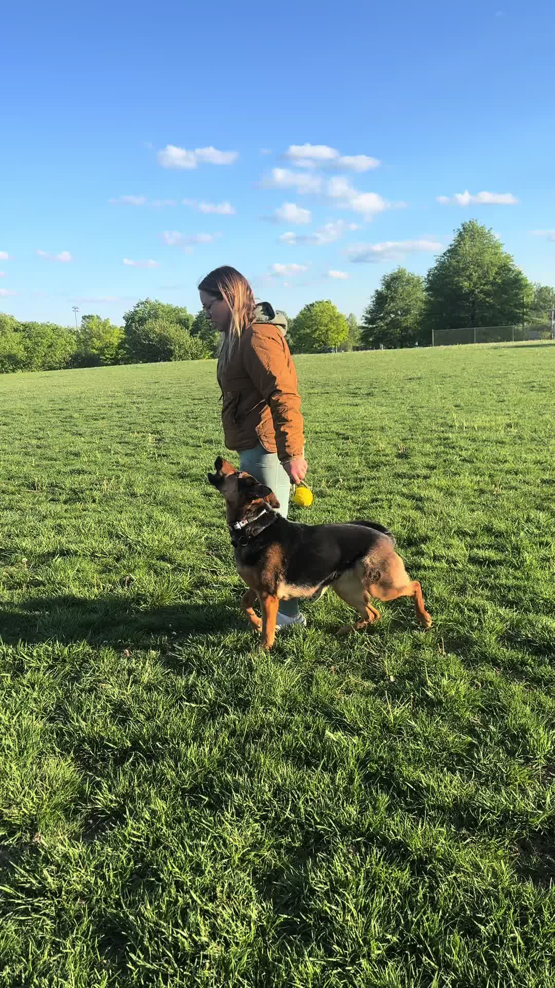 @Dog Trainer Charlotte