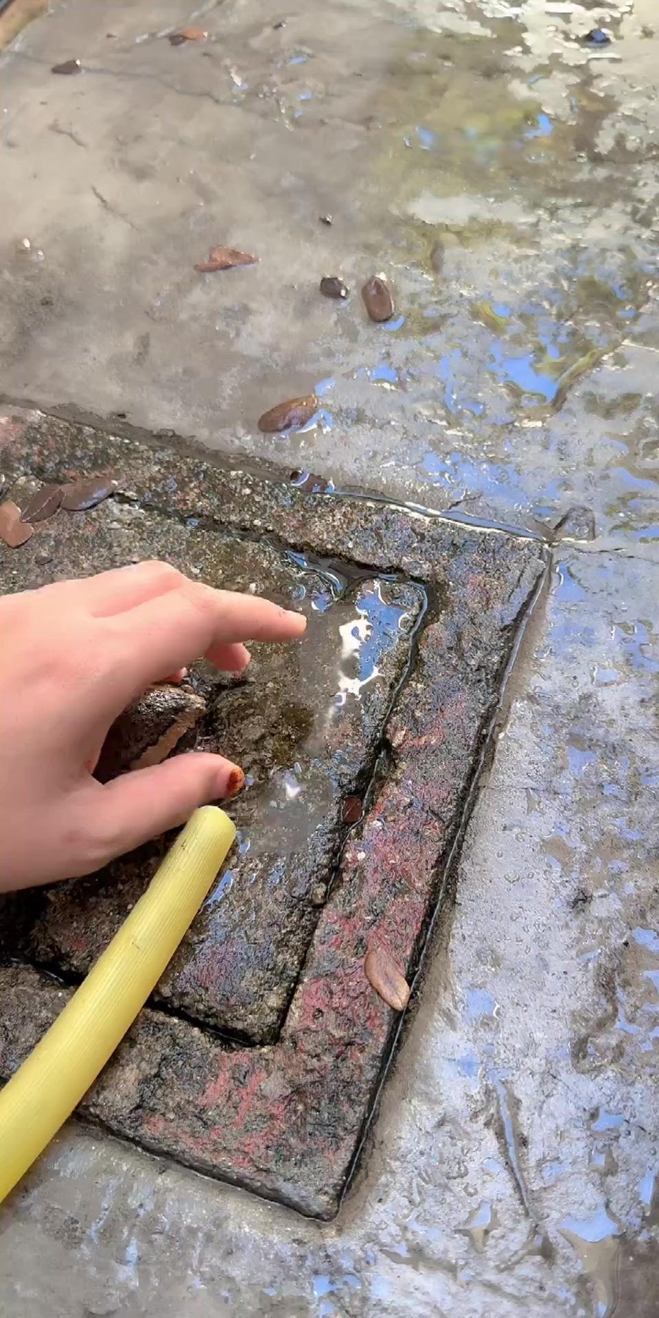 @Tora.Tora