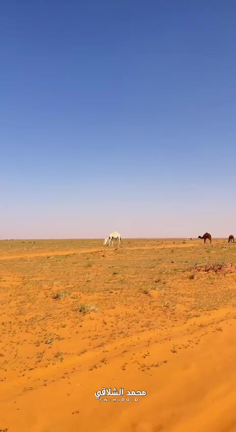 @الإعلامي صقر الشمري