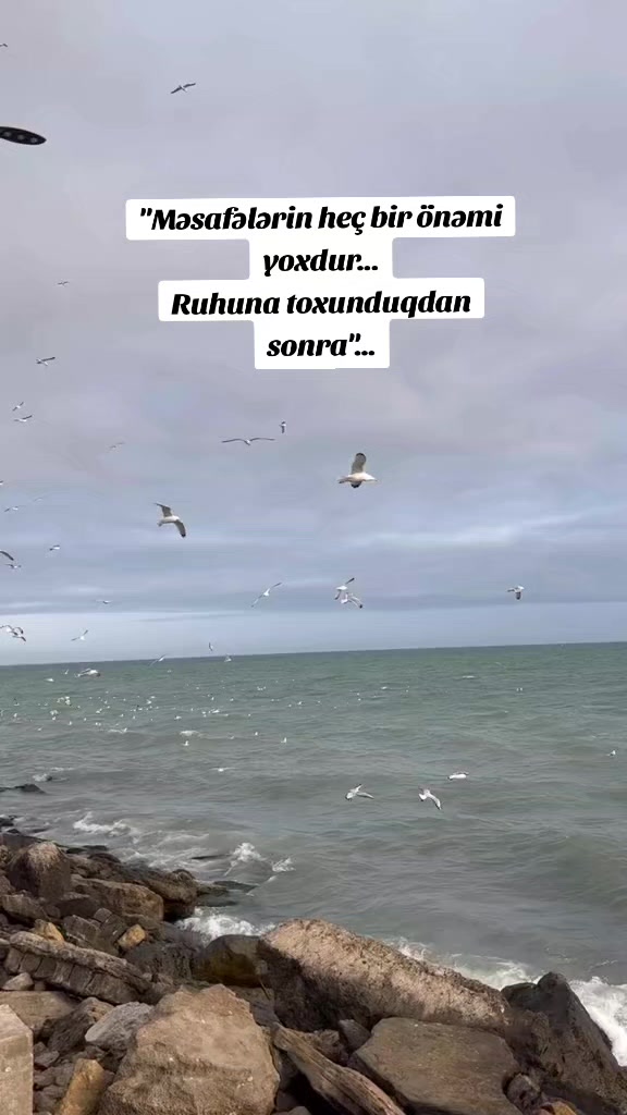@✨️_HUZUR_✨️
