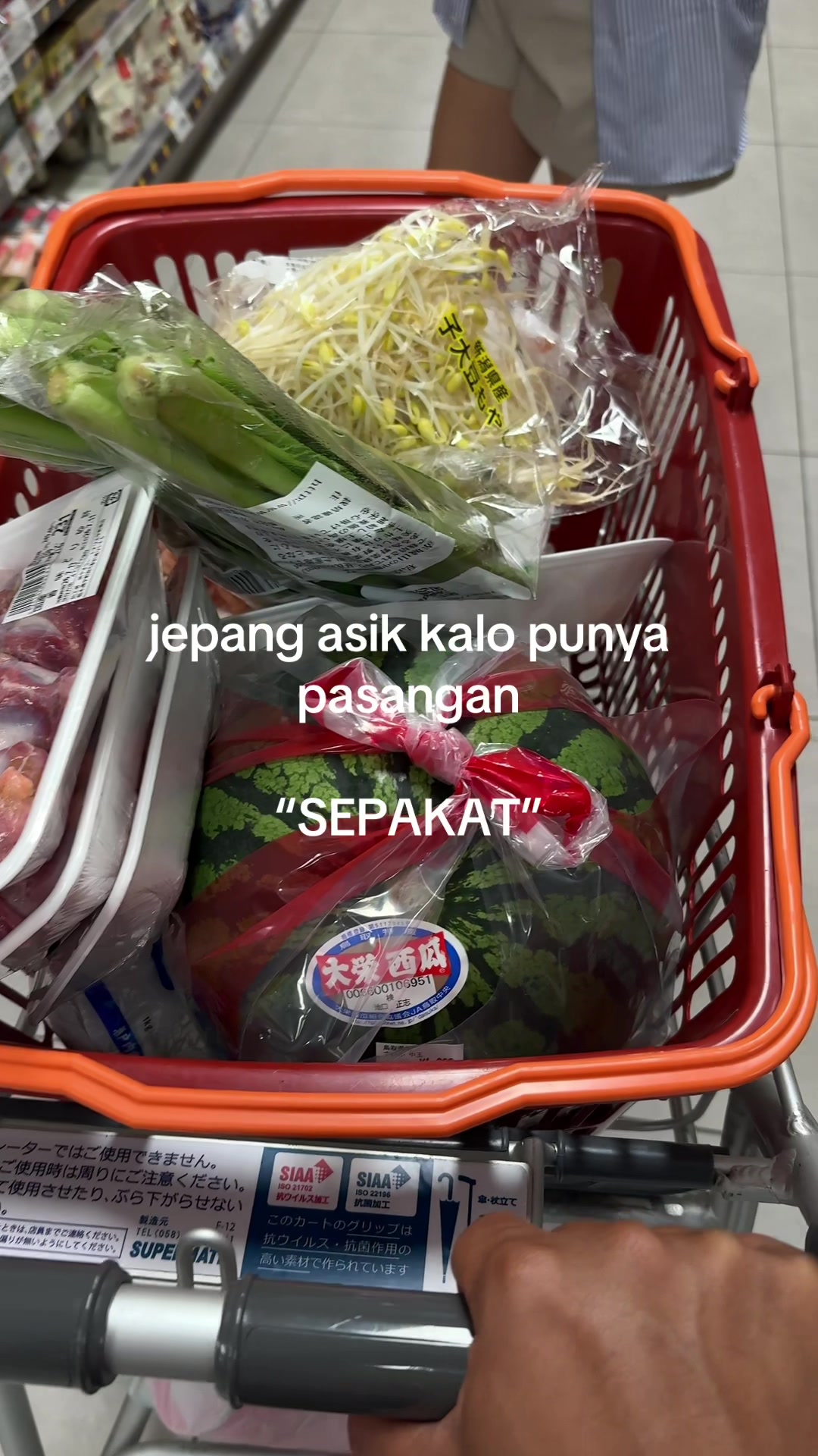 @pistacio17