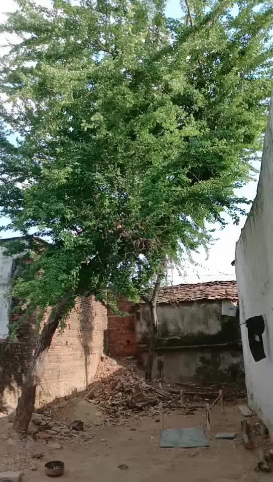 @Abhishek Kushwaha