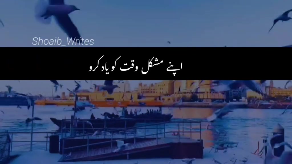 @Official__Account