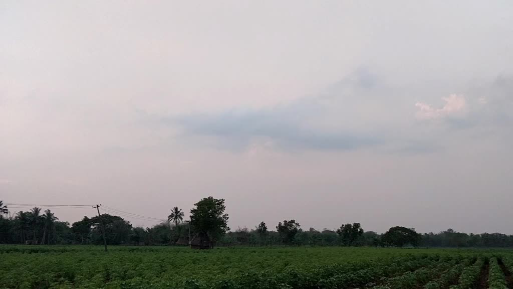 @prasadmani