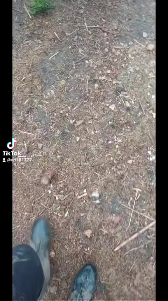 @ari18177