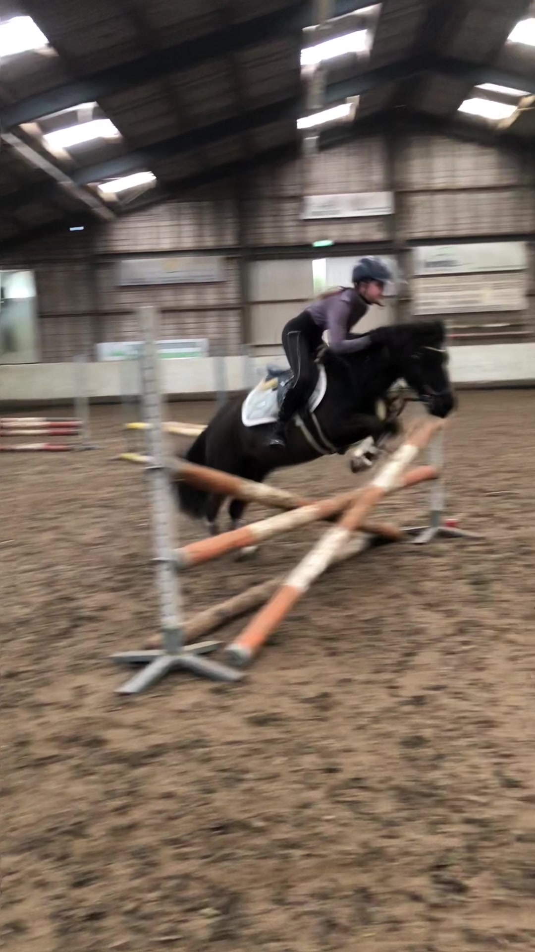 @Jumping Ponies 🔛🔝