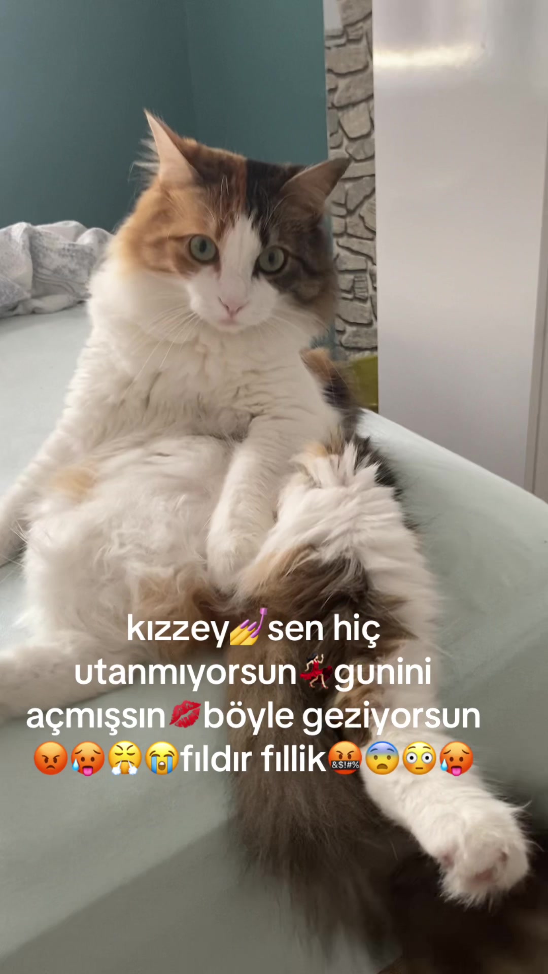 @erikitosko
