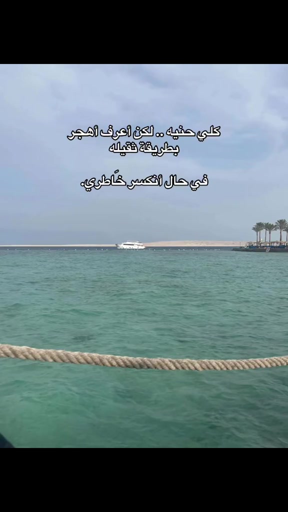 @Esraa Yasser