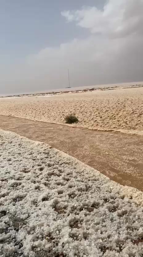 @ابو ناوي