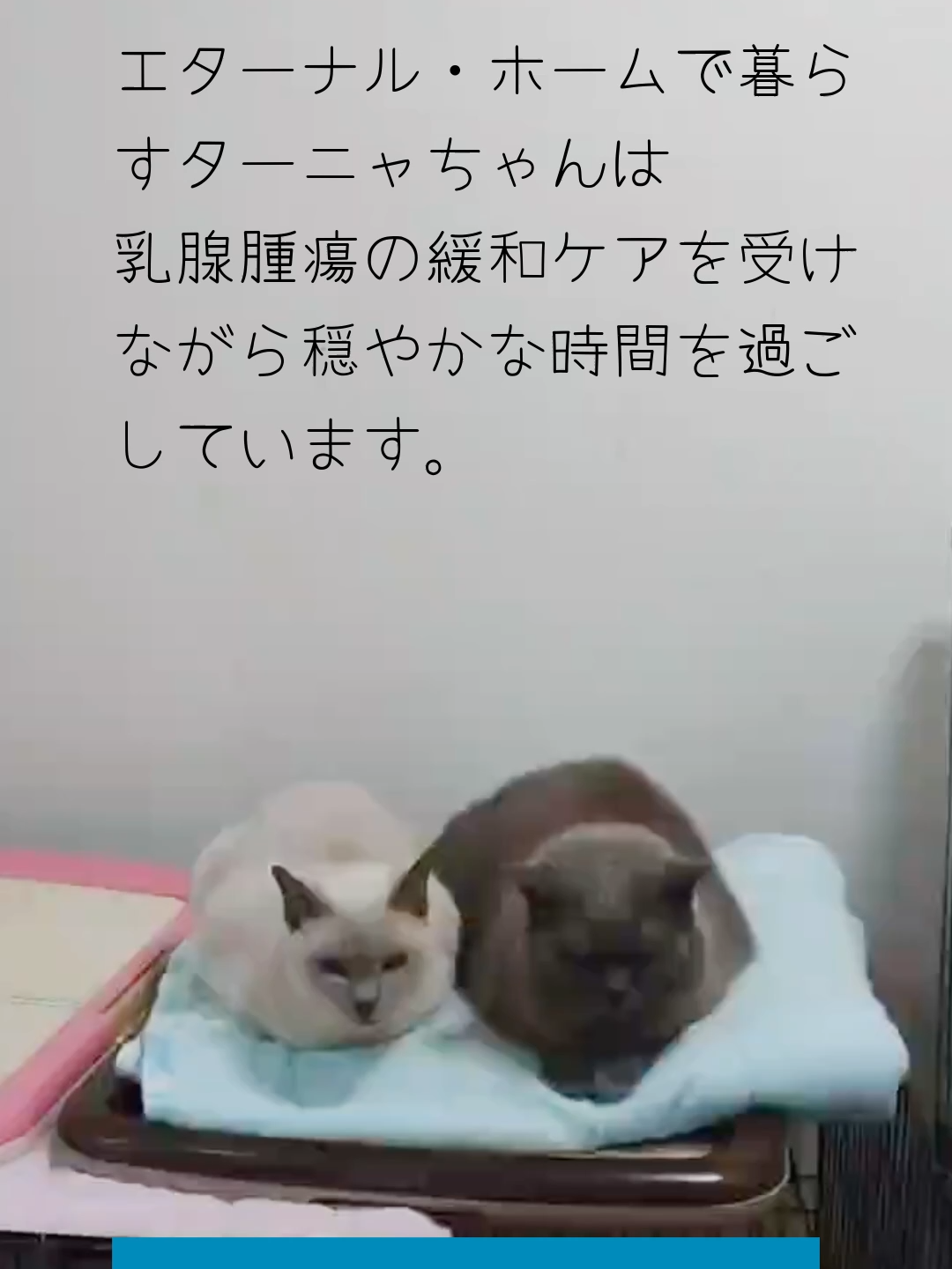 @NPO法人エターナル・ホーム