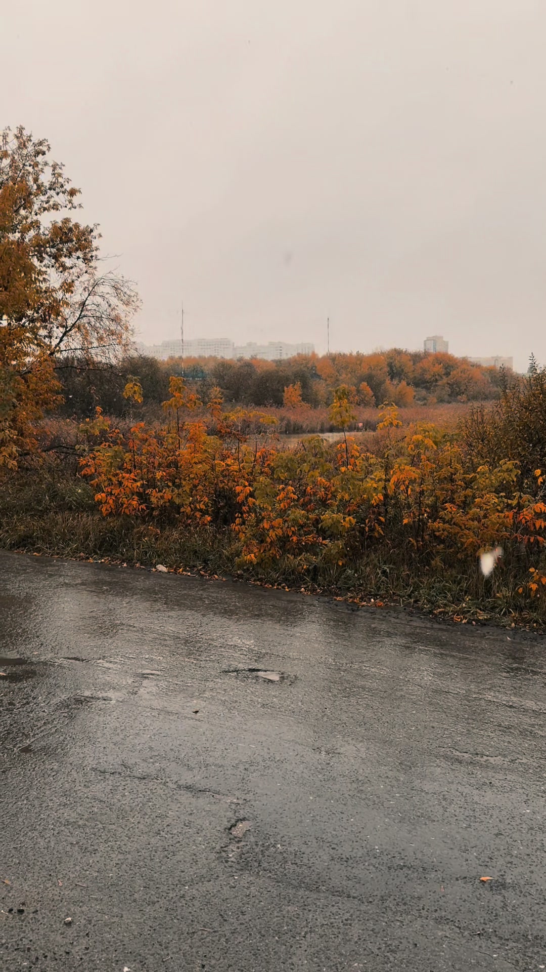 @Ольга