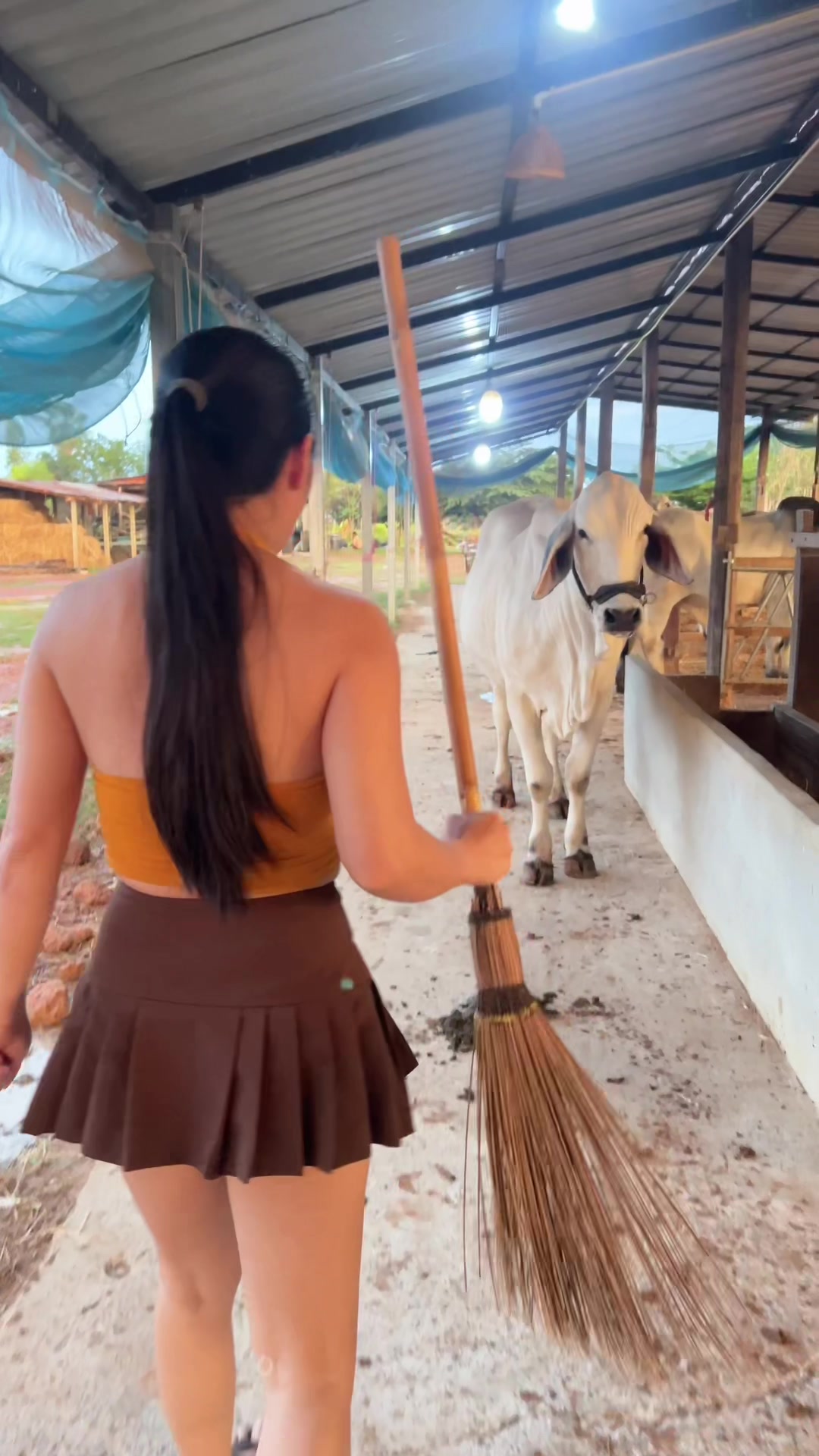@AA Aranya Farm
