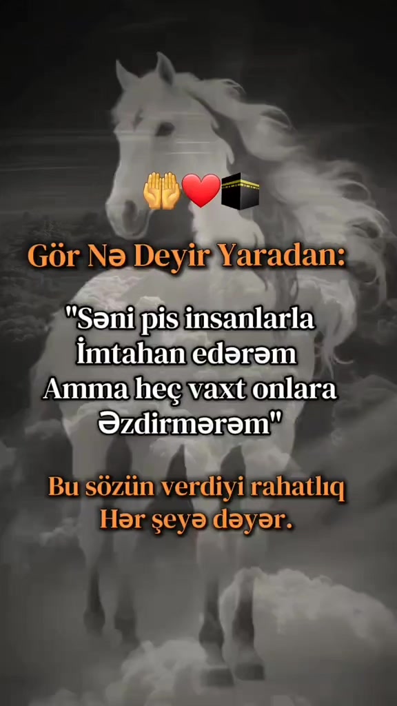 @💙AL❤️