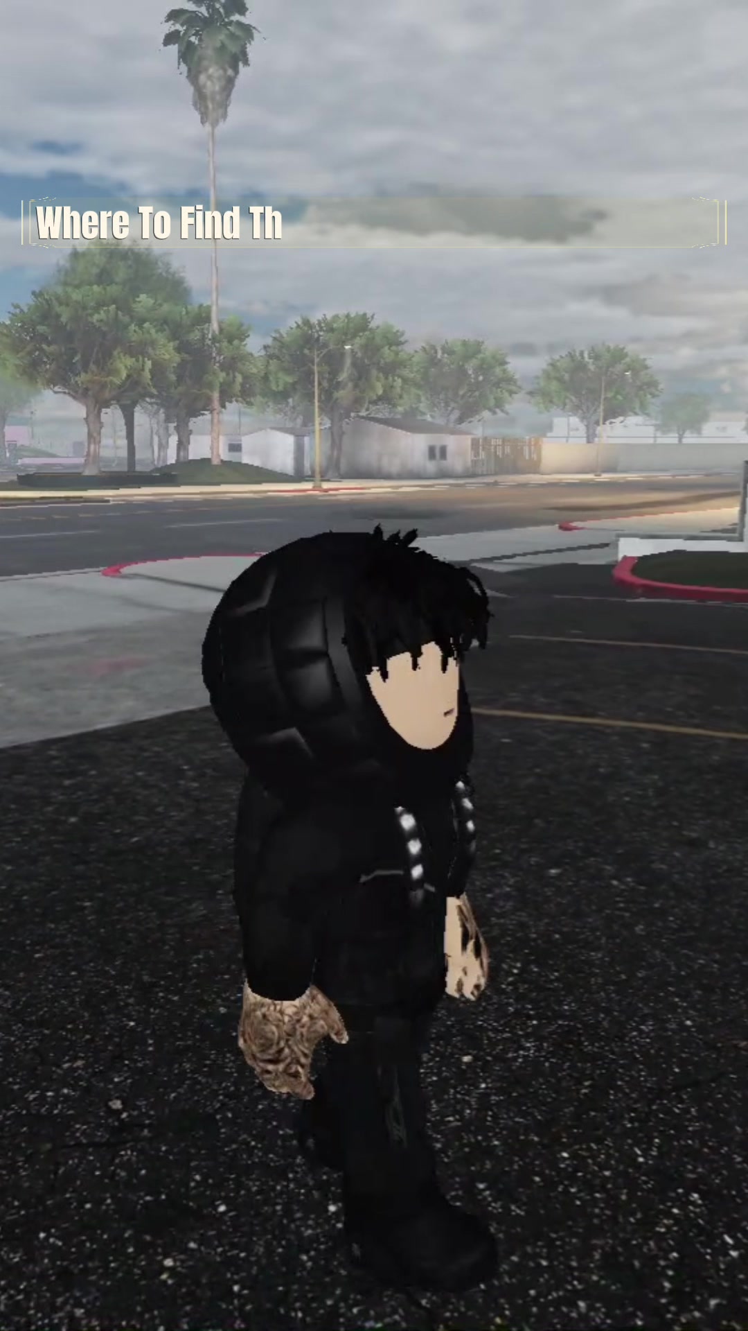 @projectlarbx