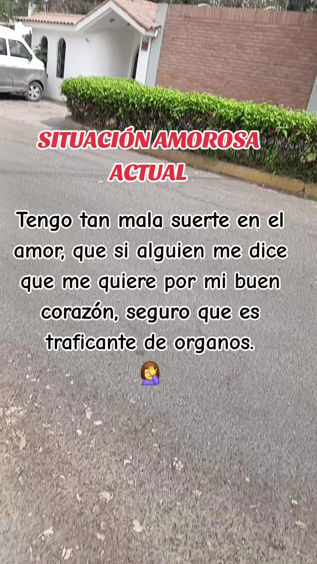 @Ive Guti⚘️